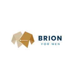 BRION STORE LOGO PARA SITE